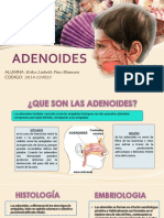 Adenoides N