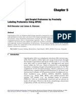 Identification of Lipid Droplet Proteomes by Proximity Labeling Proteomics Using APEX2