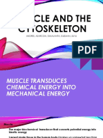 Biochem Report Muscle and Cytoskeleton