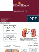 Fisiologia Renal