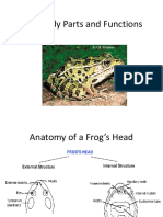 Frog Body Parts and Functions