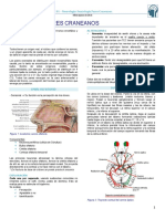 Clase Neurología - Semiologia de Pares Craneanos