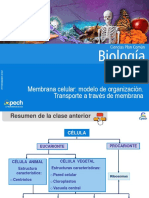 Clase 7 Membrana Celular Modelo de Organización.transporte A Través de Membrana 2015