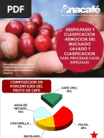 03 - Despulpado y Clasificacion - Remocion Del Mucilago - Lavado y Clasificacion PDF