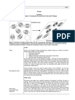 Strain: Paul Bons Mineralogie & Geodynamik, Eberhard Karls Universität Tübingen