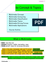 Multimedia Concept & Topics