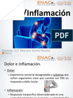 Clase 5. - Dolo e Inflamacin - AINES