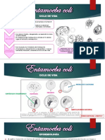 3 Amebas Comensales Parte II