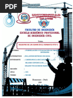 Registro de Ioarr en El Formato N°07-C PDF