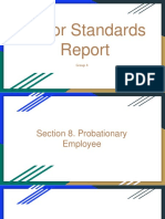 Labor Standards Report-4