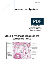 Cardiovascular System