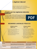 Qué Es Un Régimen Laboral Público