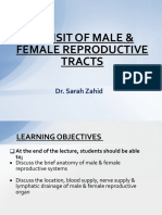 Revisit of Male & Female Genital Tracts Semester VII