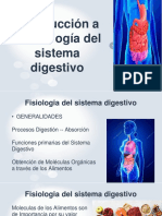 SISTEMA DIGESTIVO Fisiologia PDF