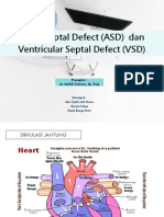 Atrial Septal Defect (ASD) Dan Ventricular Septal Defect (VSD)