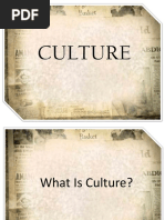 Culture Report Chapter 1