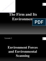 The Firm and Its Environment