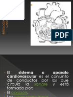 FISIOLOGÍA Cardiovascular