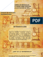 Biolixiviacion Del Cobre en Minerales Sulfurados Refractarios Como