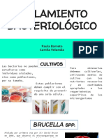 Aislamiento Bacteriológico PDF