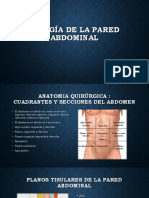 Cirugia Abdominal