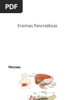 Metabolismo Do Pancreas