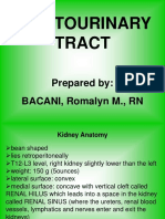 GenitoUrinary Tract Presentation