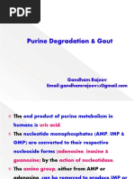 Degradation of Purine