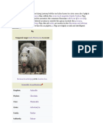 Genus Even-Toed Ungulate Family Suidae Domestic Pig Wild Boar Peccary Babirusa Warthog Suids Eurasian and African Continents