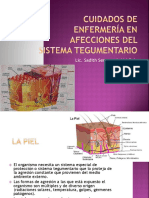 14.-Cuidados de Enfermería en Afecciones Del Sistema Tegumentario