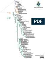 Amphibian Family Phylogeny 2019