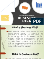 Business Risk