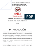 Diapositivas Rabia PPT - 1890105895