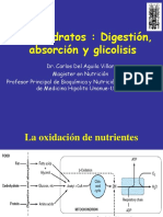 Digestion Absorcion Glicolisis