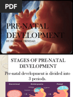 Pre-Natal Development: By: Dennver Trinidad