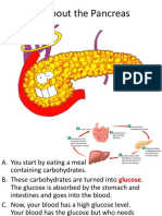 All About The Pancreas