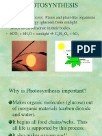 Photosynthesis 1