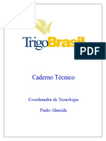 Revisão