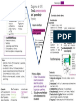 Diagrama Uve de Vygotsky