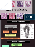 ODONTOGÉNESIS