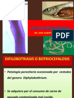 Diphylobotriasis Clase Viii