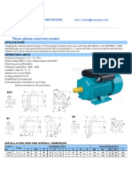 Y2 Series: Three Phase Cast Iron Motor