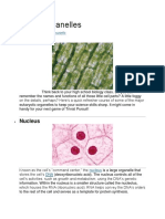 6 Cell Organelles