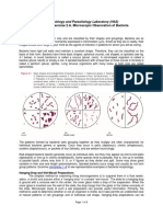 Laboratory Exercise No. 2A. Microscopic Observation of Bacteria - Sep 13