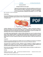 Neurologia UATF 3er Parcial