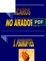 Acaros No Aradores