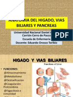 Anatomia Del Higado, Vias Biliares y Pancreas 2013