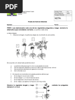 Partes de Una Planta Abril Ok