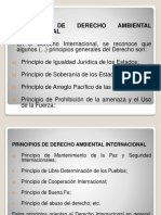 Principios Del Derecho Ambiental Internacional. Tratados Internacionales y Política Exterior Sobre Materia Ambiental PDF