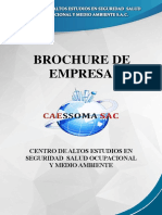 Brochure Caessoma Sac